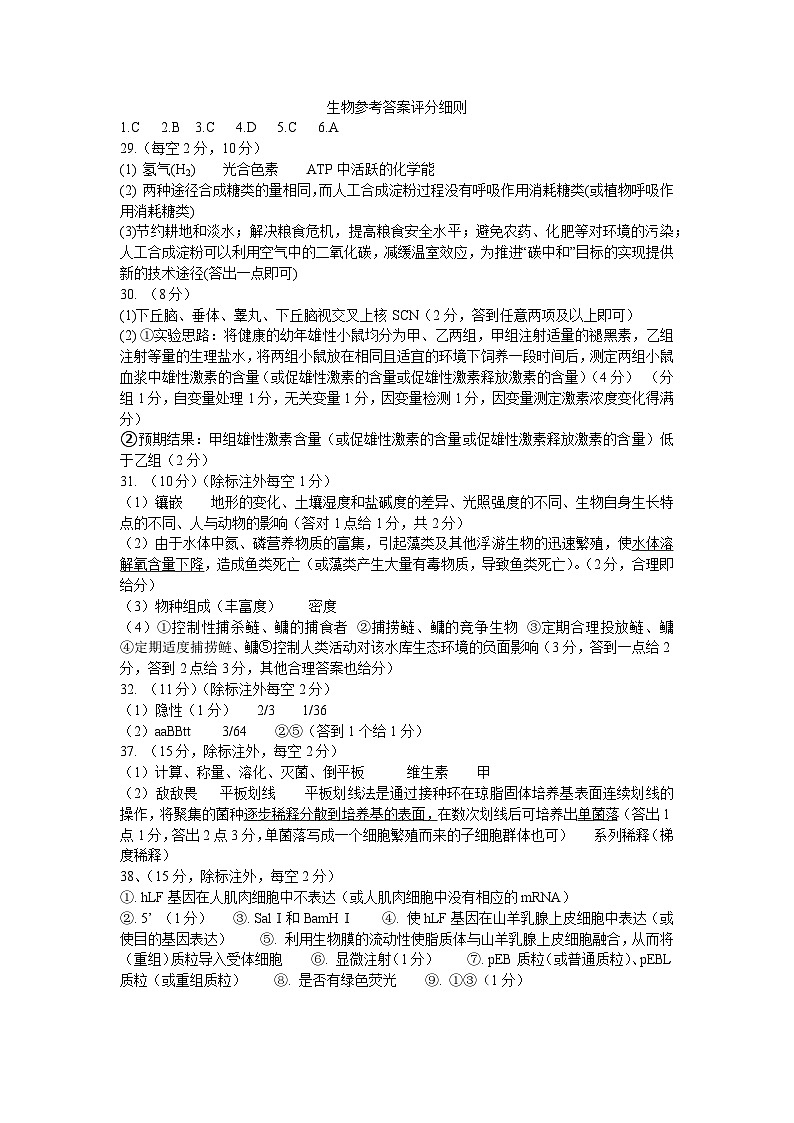 四川省南充高级中学2023-2024学年高三下学期3月月考试题理综试卷（Word版附答案）01