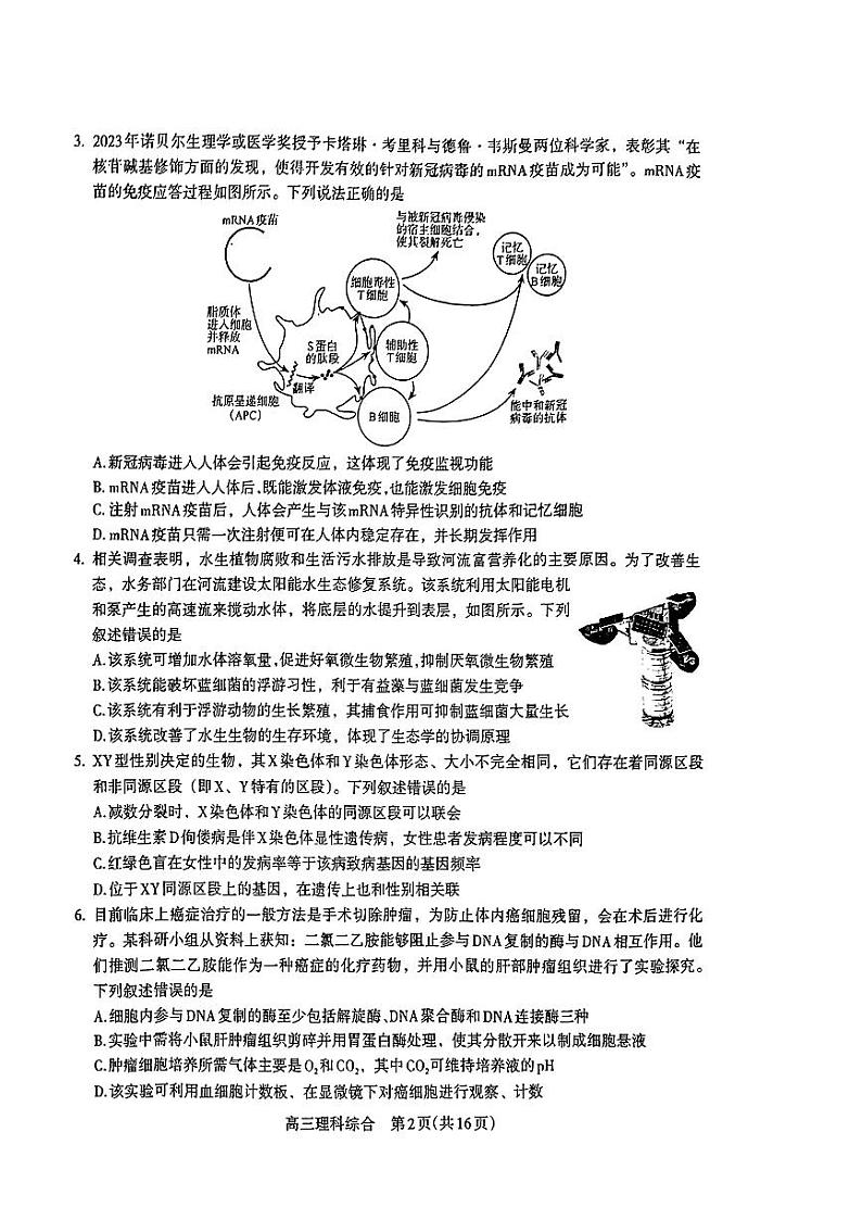 2024届河南省济洛平许四市高三下学期第三次质量检测（三模）理综试题02