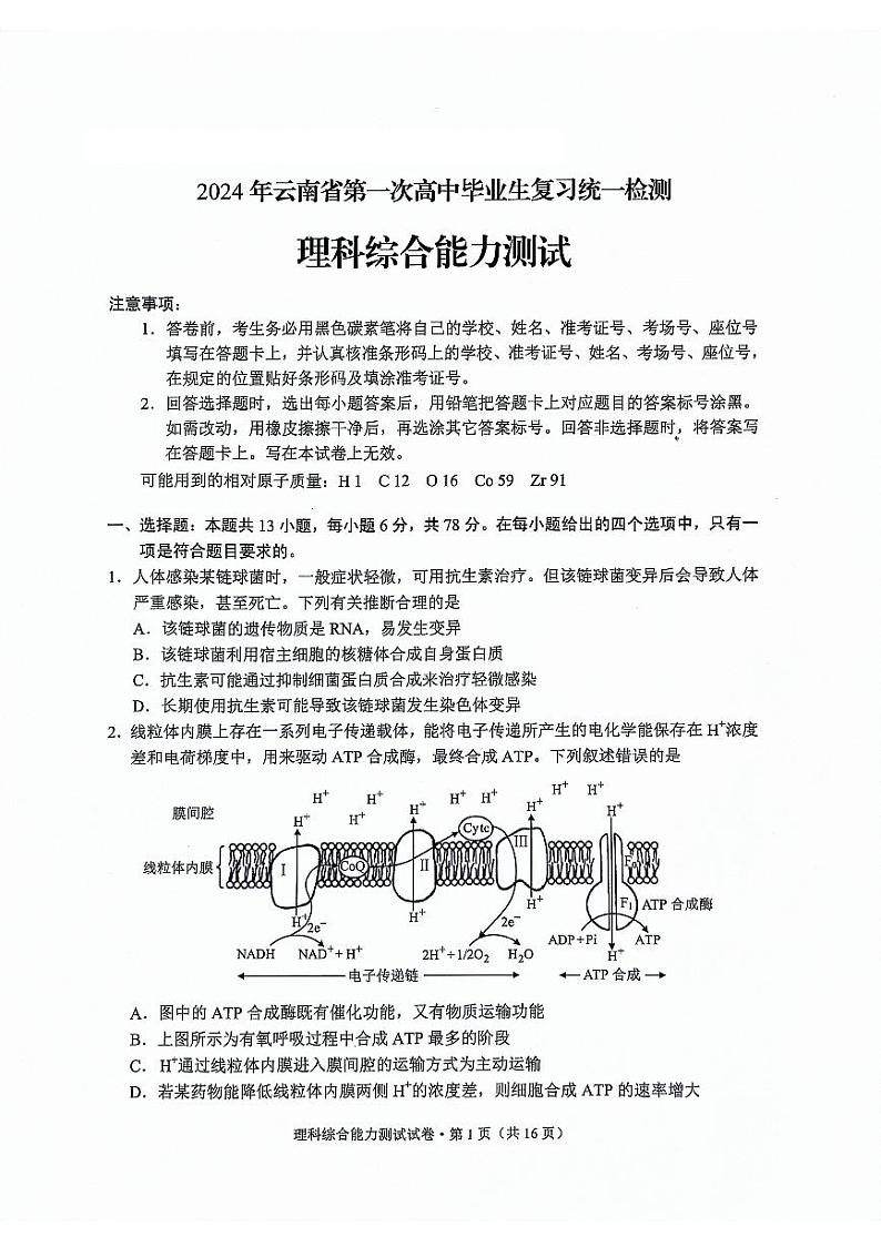 2024年云南省第一次高中毕业生复习统一检测-理综试卷第1页