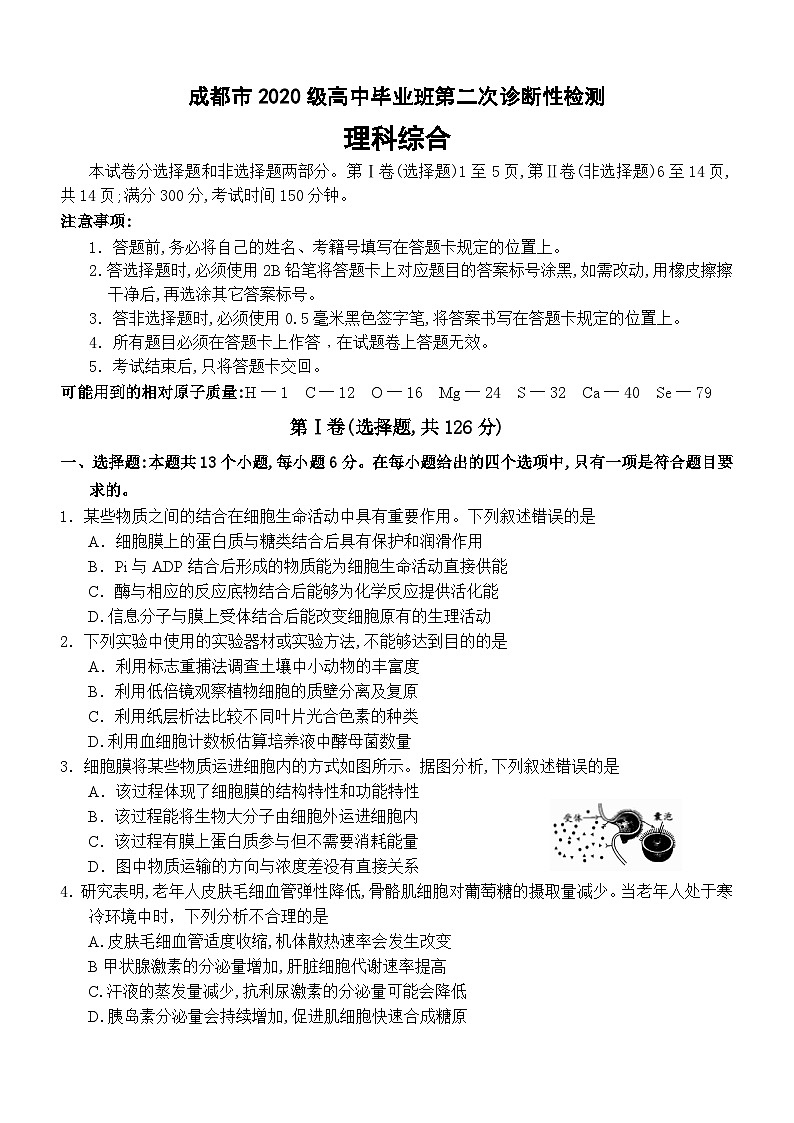 2023成都高三下学期二模理综试题含答案01