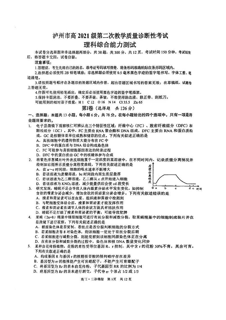 2024泸州市高三二诊理科综合试卷和答案第1页