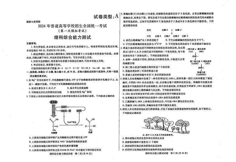 内蒙古包头市2024届高三一模理科综合试题+答题卡01
