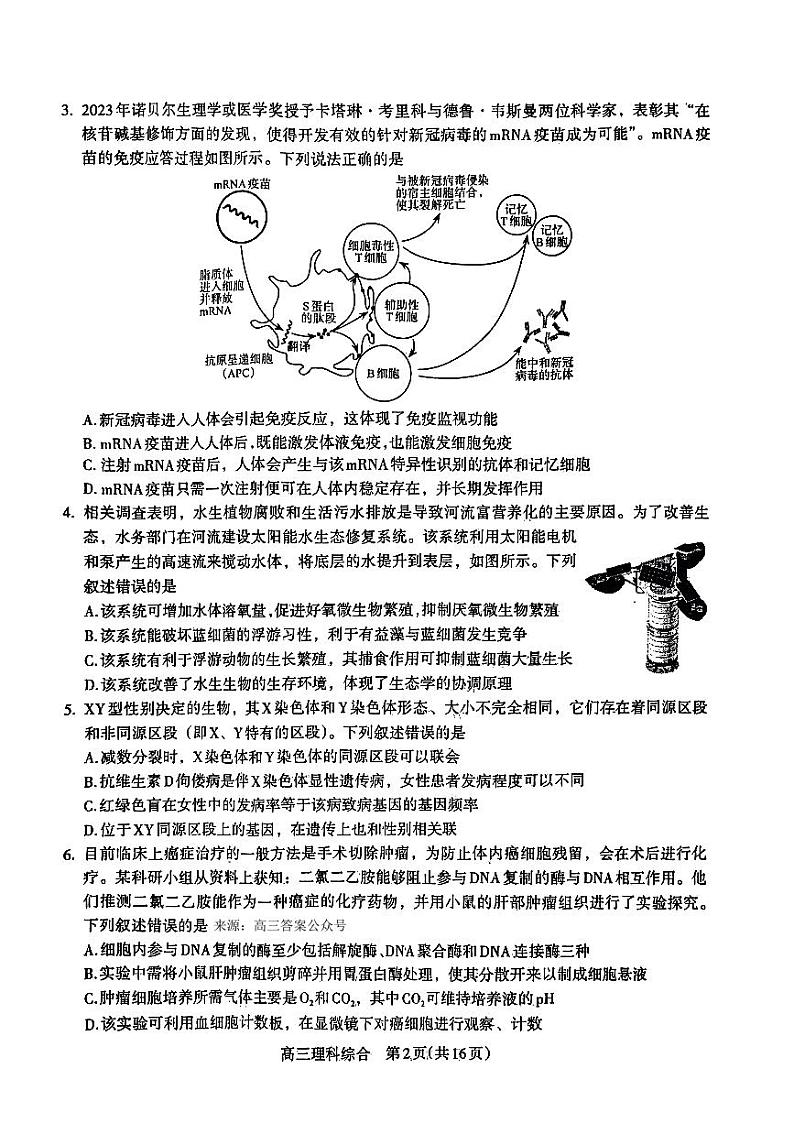2024届河南济洛平许高三下学期3月理综试题及答案02