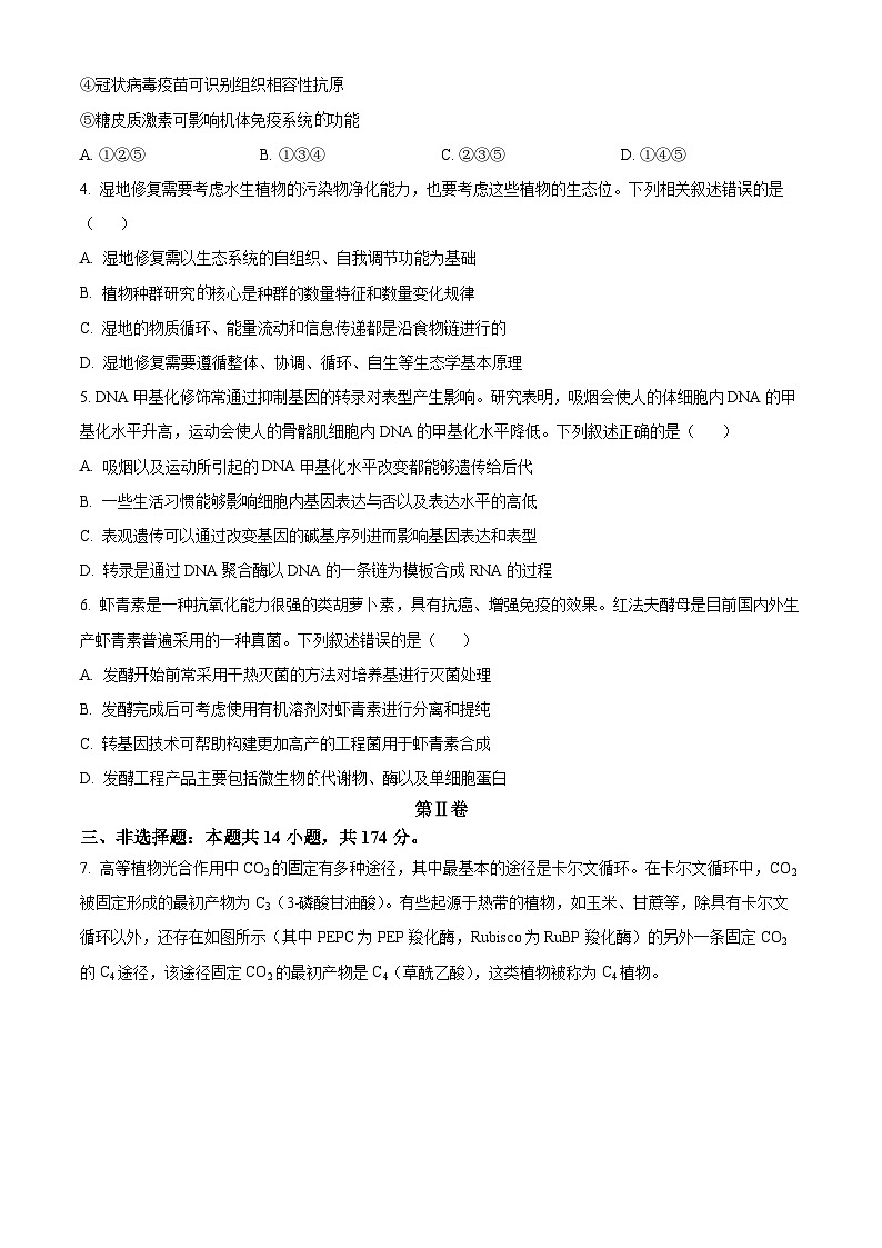 精品解析：2024届河南省高三下学期适应性测试理综生物试题（原卷版）第2页