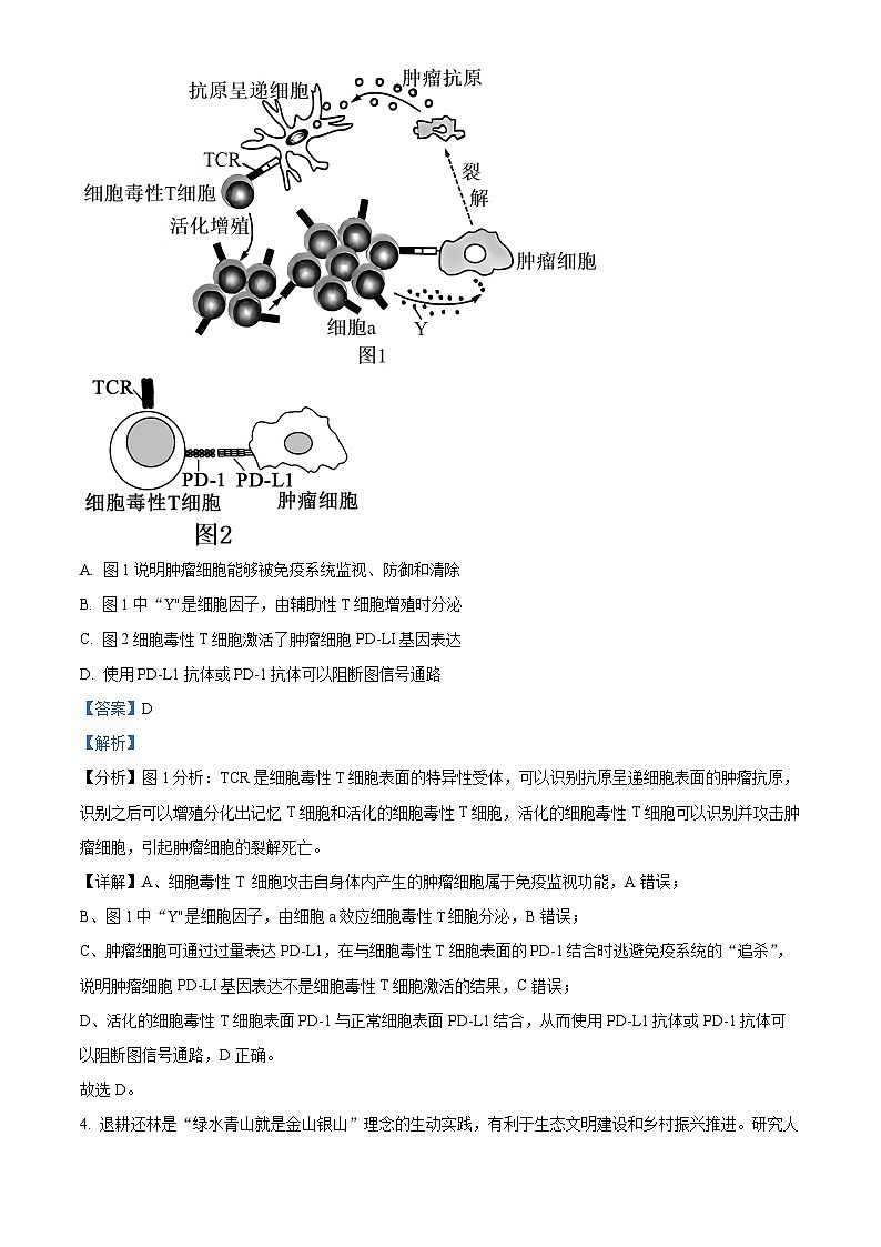 2024届河南省开封市高三下学期第二次质量检测理综生物试题（原卷版+解析版）03