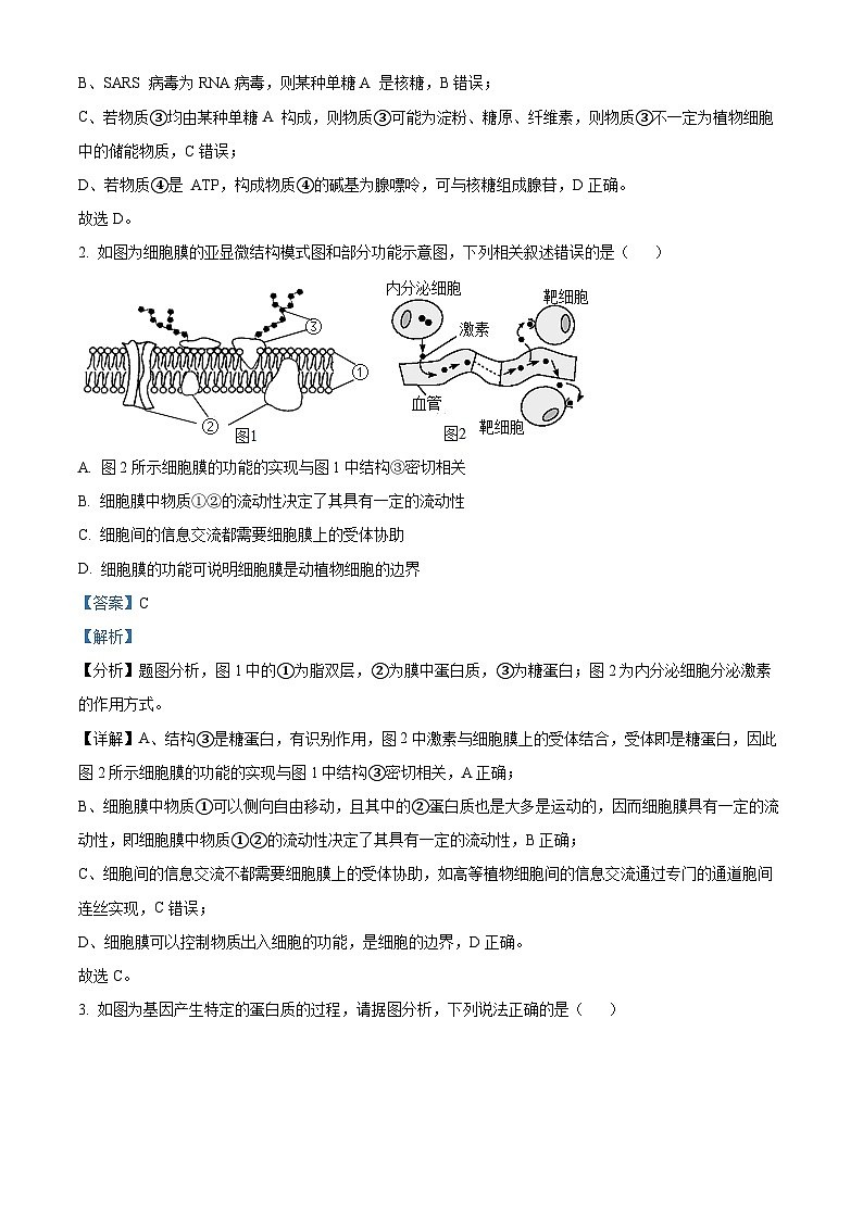2024届陕西省汉中市汉台区高三下学期教学质量检测（一模）理综生物试题（原卷版+解析版）02