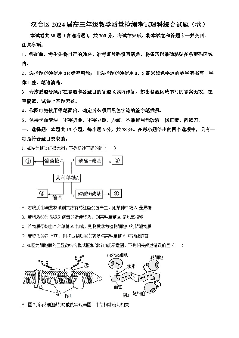 2024届陕西省汉中市汉台区高三下学期教学质量检测（一模）理综生物试题（原卷版+解析版）01