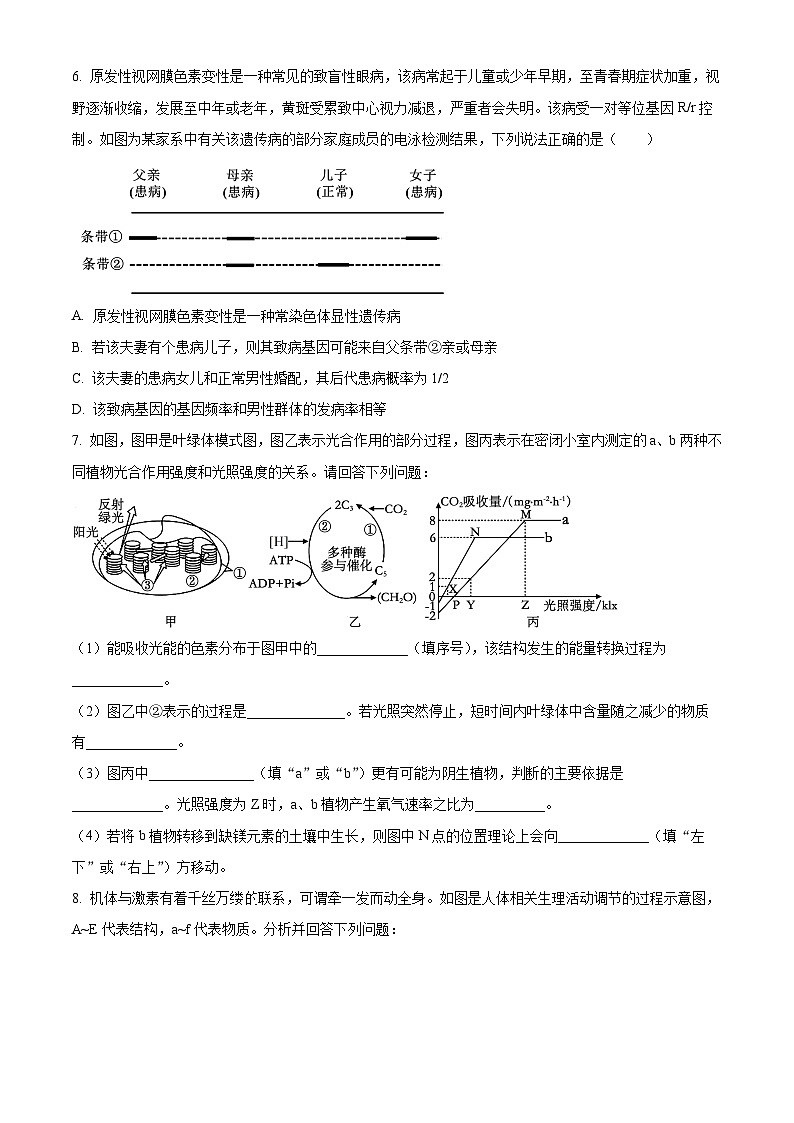 2024届陕西省汉中市汉台区高三下学期教学质量检测（一模）理综生物试题（原卷版+解析版）03