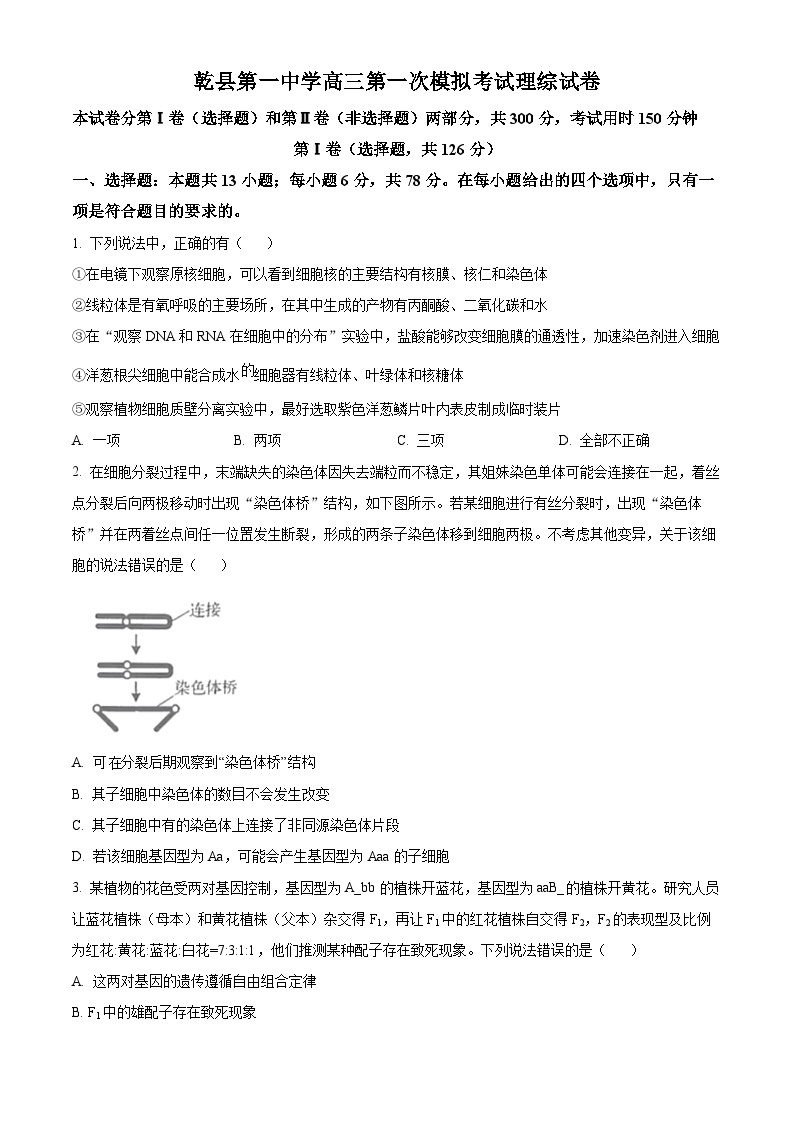 2024届陕西省咸阳市乾县一中高三下学期一模理综生物试题（原卷版+解析版）01