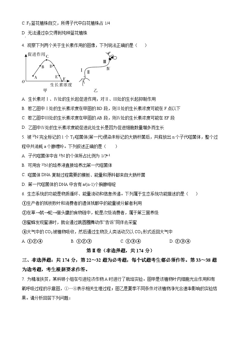 2024届陕西省咸阳市乾县一中高三下学期一模理综生物试题（原卷版+解析版）02