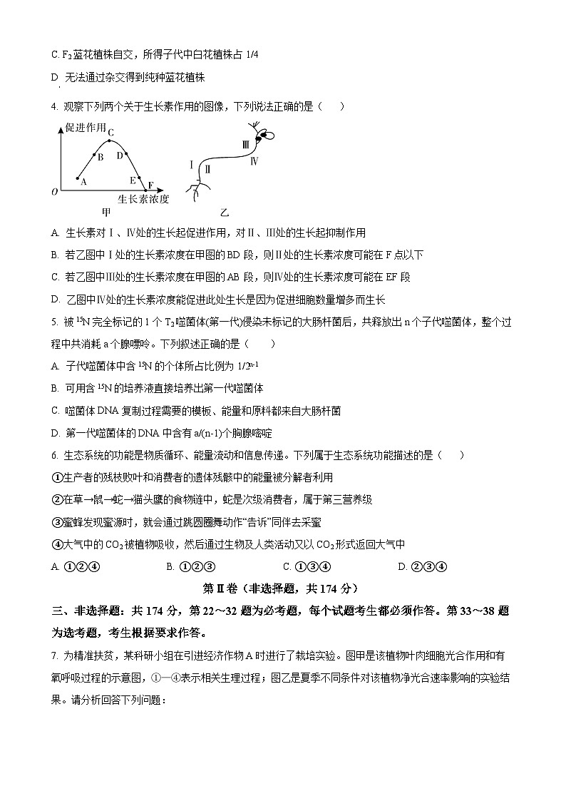 2024届陕西省咸阳市乾县一中高三下学期一模理综生物试题（原卷版+解析版）02