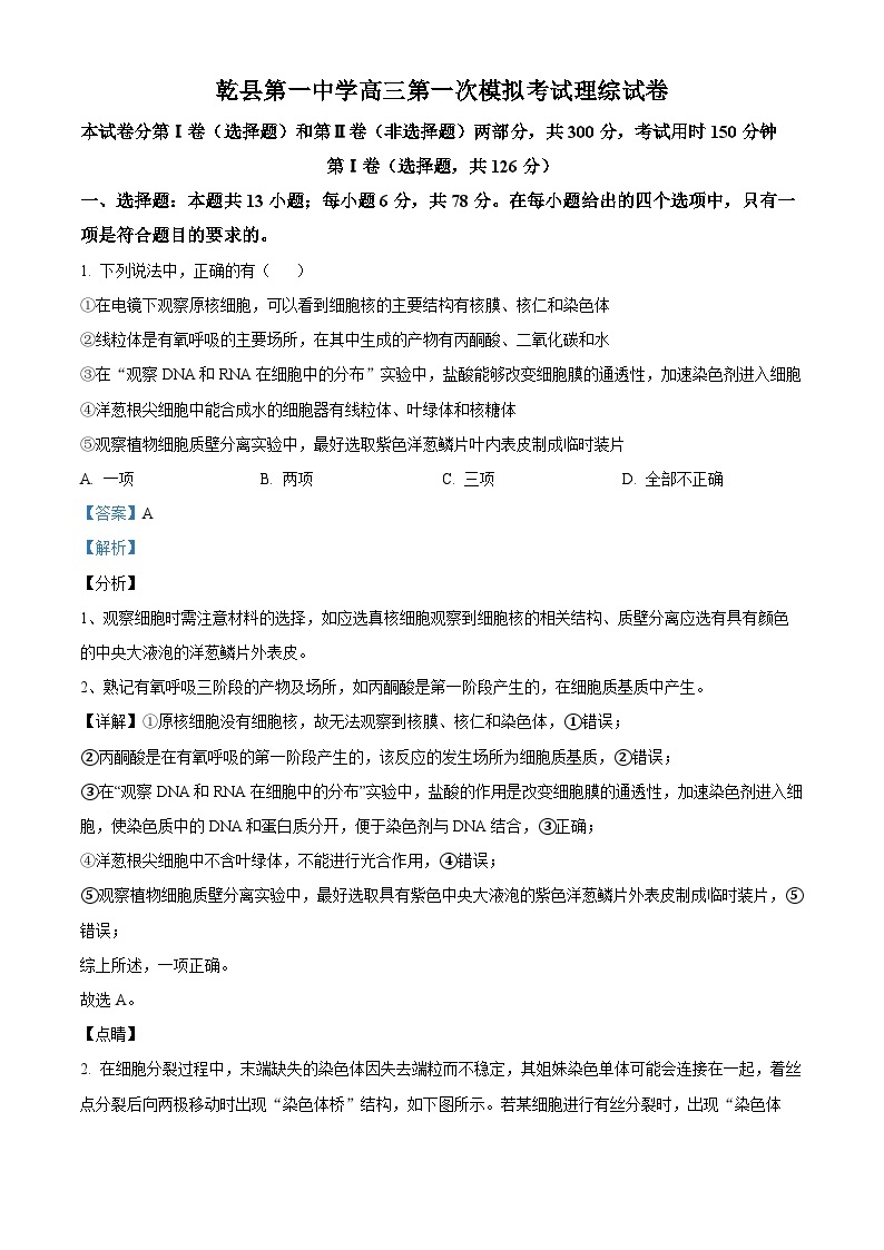 2024届陕西省咸阳市乾县一中高三下学期一模理综生物试题（原卷版+解析版）01