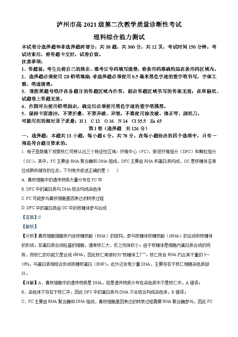 2024届四川省泸州市高三二诊理综生物试题（原卷版+解析版）01