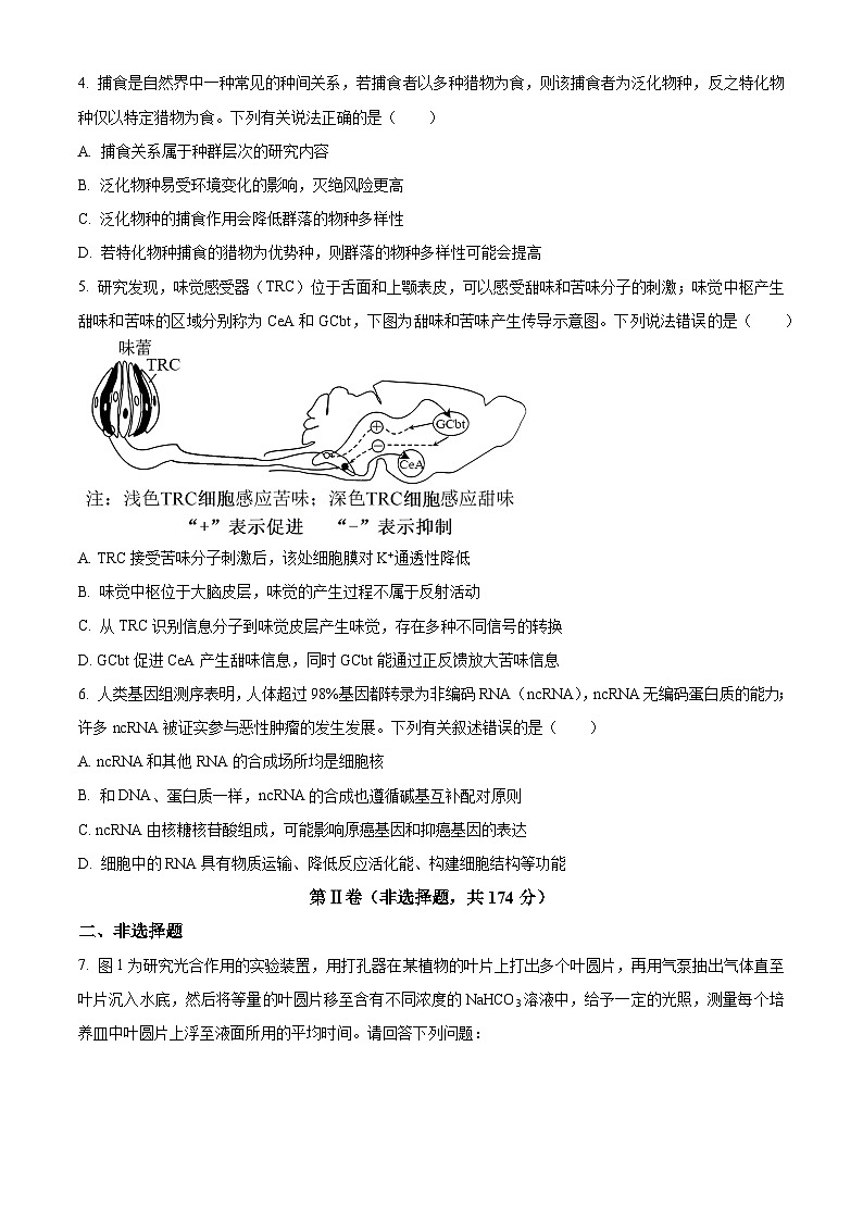 2024届四川省南充市高三下学期适应性考试（二诊）理综试题-高中生物（原卷版+解析版）02