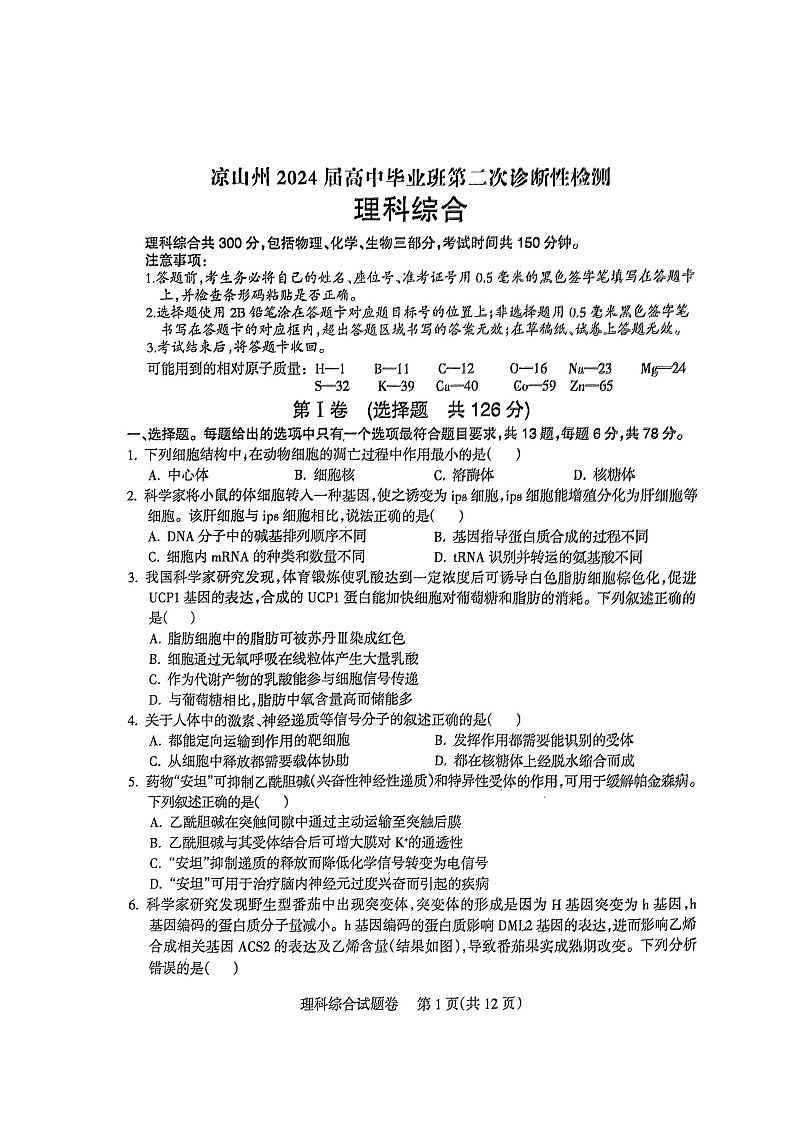 2024届四川省凉山州高三下学期二诊考试理科综合试题第1页