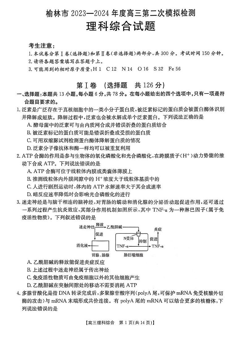 2024届陕西省榆林市高三下学期第二次模拟检测理科综合试题第1页