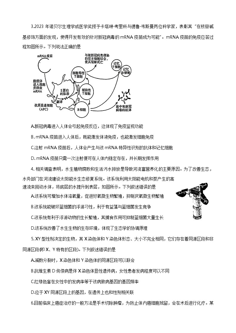 河南省济洛平许2023-2024学年高三下学期3月第三次质量检测试题 理综 Word版含答案02