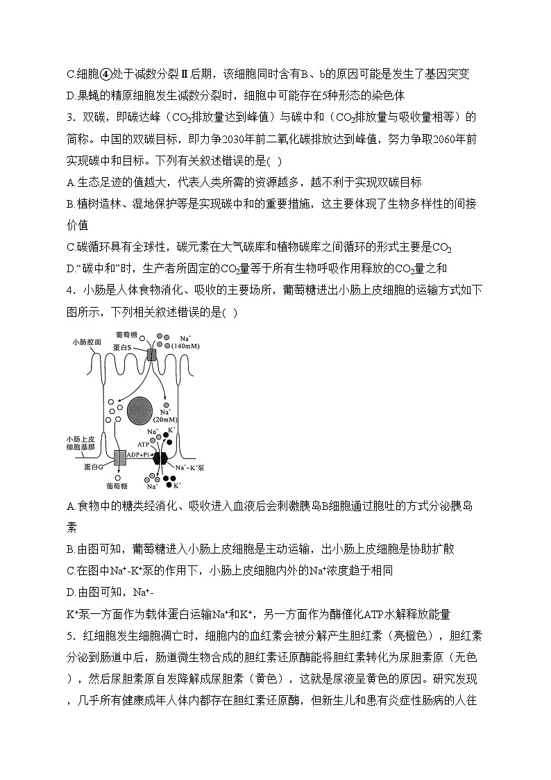 山西2024届高三第二次学业质量评价理综生物试卷(含答案)第2页