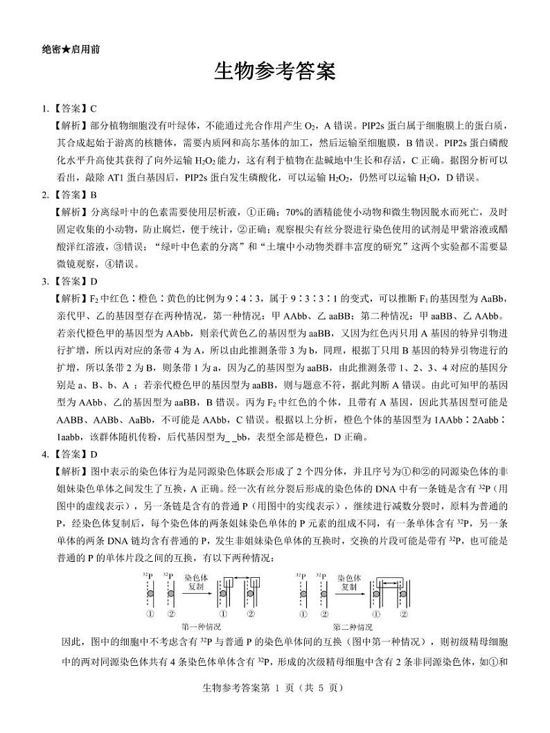 2024届河南省郑州市名校教研联盟高三下学期模拟预测理综试题01
