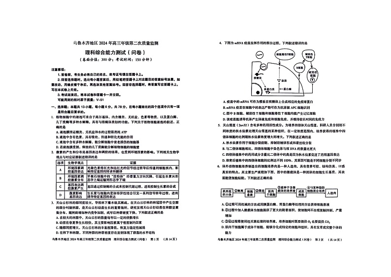 2024届新疆乌鲁木齐高三下学期第二次质量检测卷理科综合试题第1页
