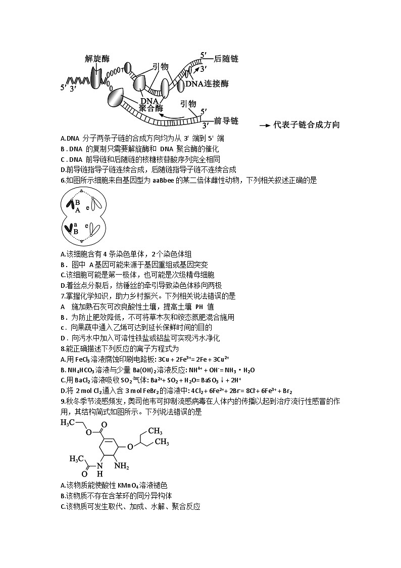 2024届四川省成都市蓉城联盟高三下学期第二次联考理科综合试题第2页