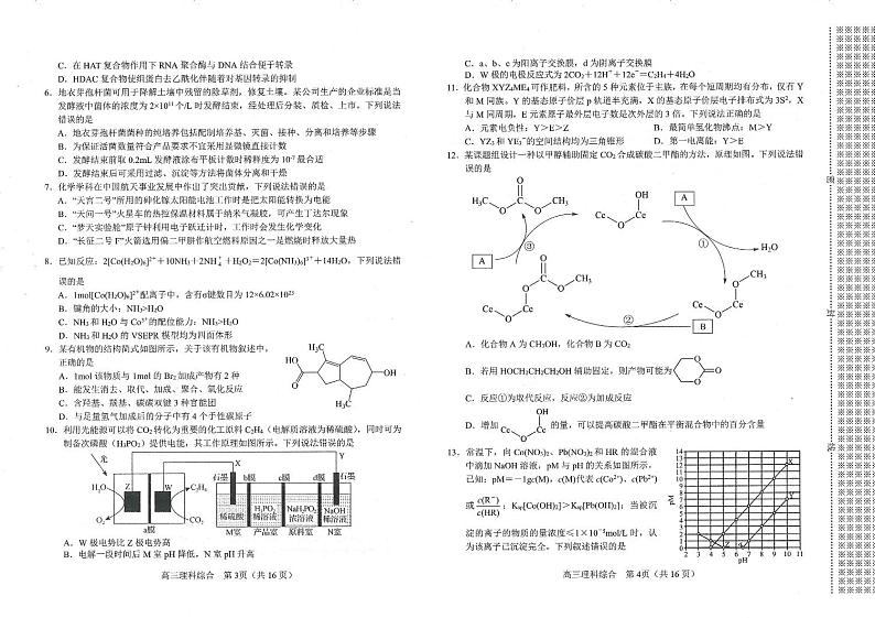 2024南阳高三上学期期末考试理综PDF版含答案第2页