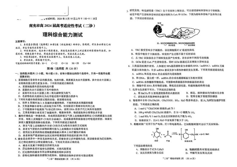 四川省南充市2024届高三下学期高考适应性考试（二诊）理综试卷（PDF版附答案）01