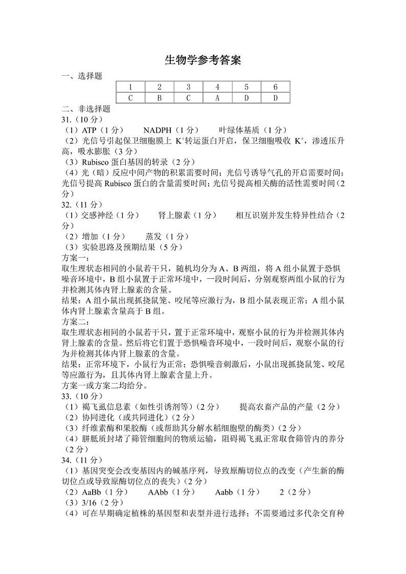 生物答案第1页