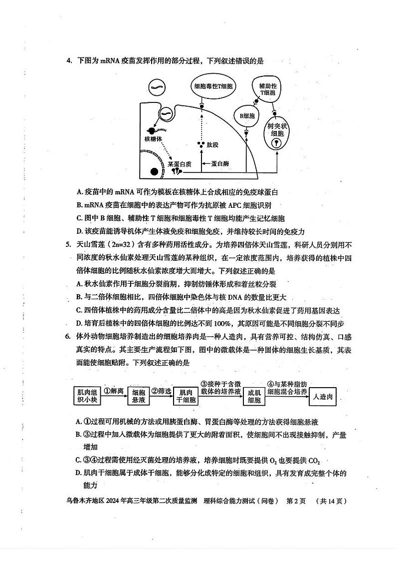 2024届新疆维吾尔自治区乌鲁木齐地区高三下学期第二次质量监测（二模）理综试题第2页