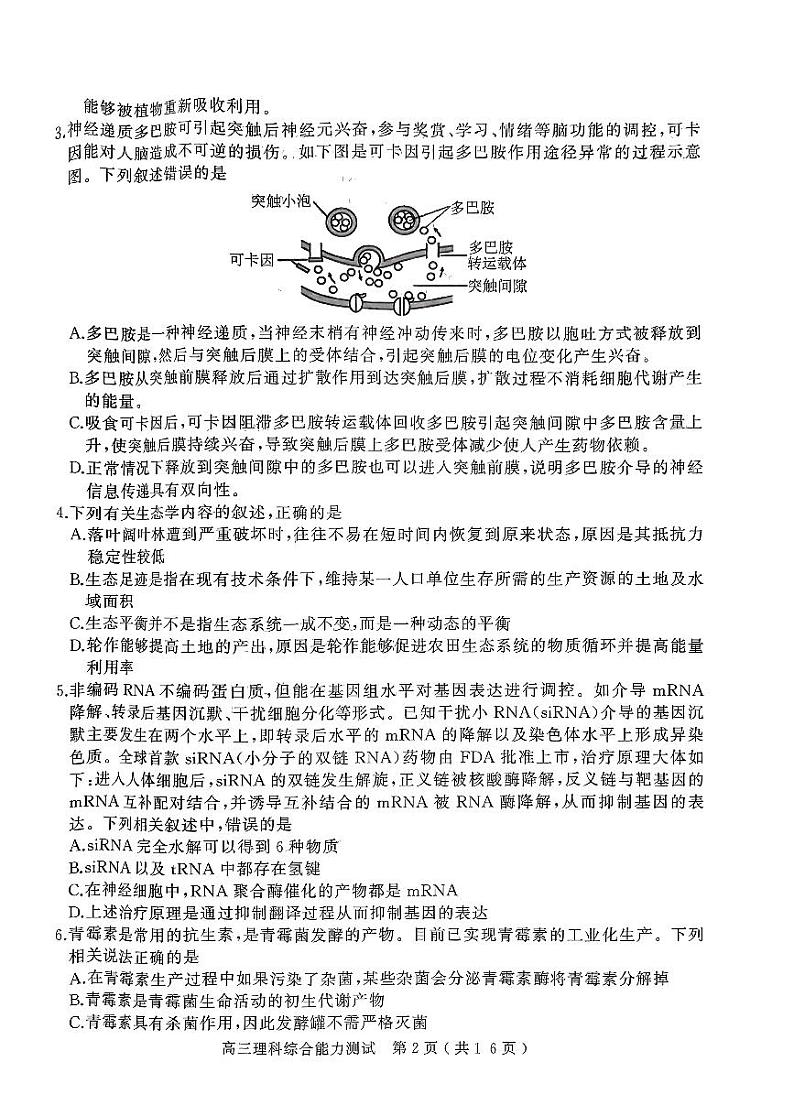 2024年河南省五市高三第一次联考理综试题及答案02