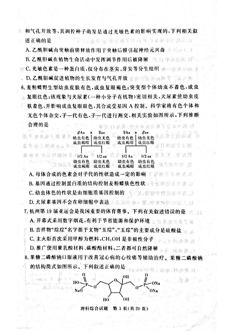 2024届湘豫名校联考高三第二次模拟考试理综试题+答案03