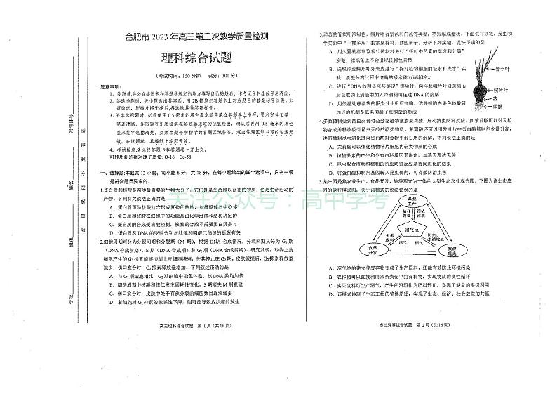2023届安徽省合肥市高三第二次教学质量检测 理综01