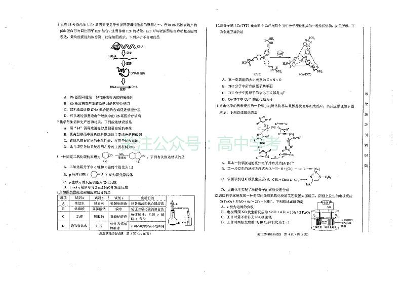 2023届安徽省合肥市高三第二次教学质量检测 理综02