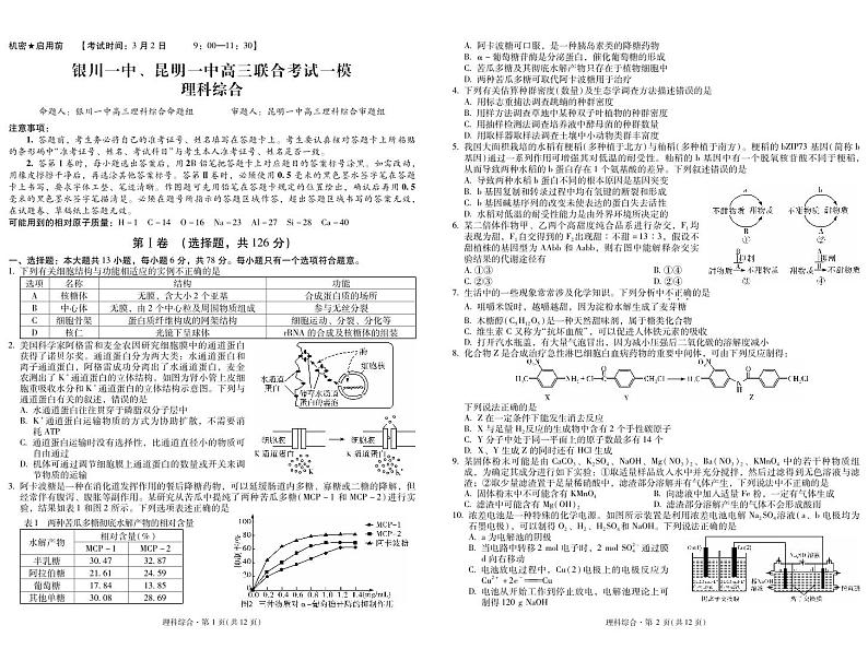 2024届宁夏银川一中、云南昆明一中高考3月联合模拟理科综合试卷01
