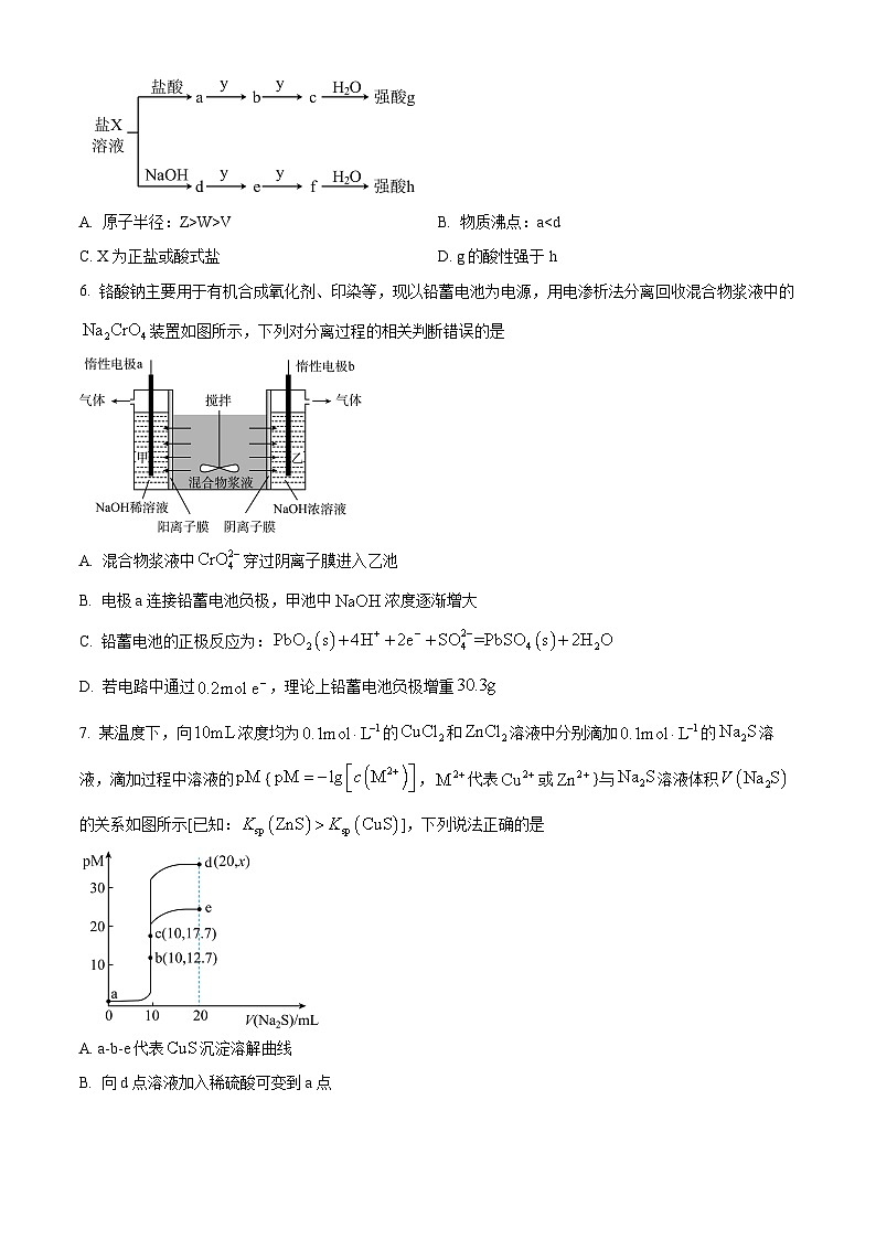 2024届四川省遂宁市高三上学期第一次诊断性考试（一模）理综试题（原卷版）第3页