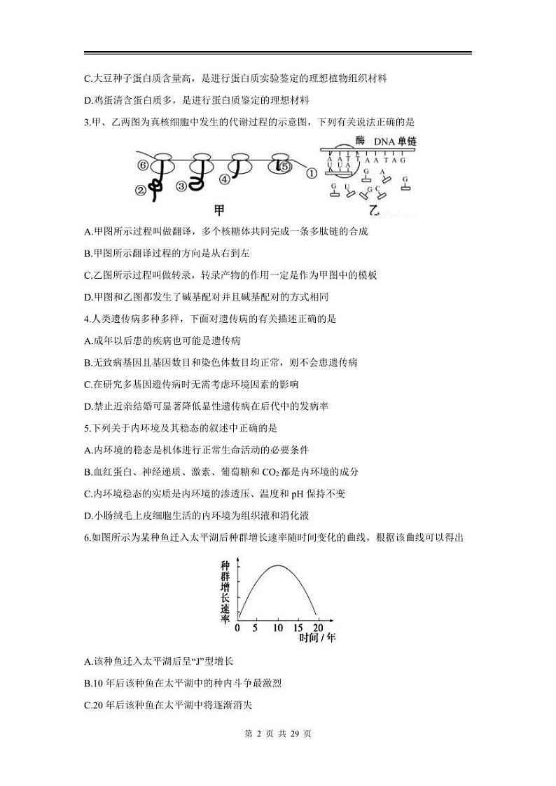 2024年高三理综第一次模拟测试(全国 II 卷)第2页