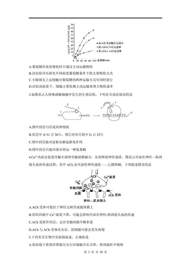 2024年高三理综第一次模拟测试（全国I卷）第2页