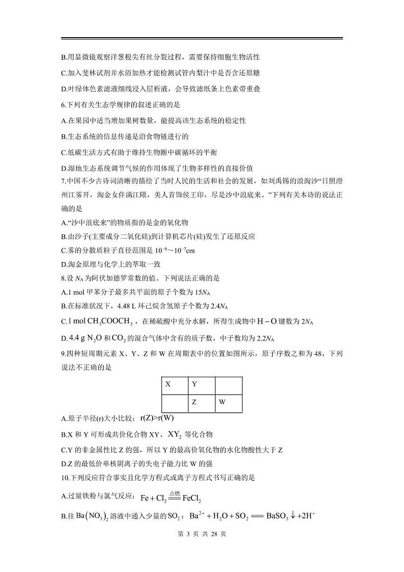 2024年高三理综第一次模拟测试（全国I卷）第3页