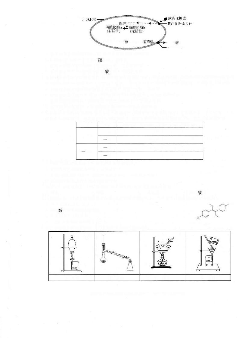 华大新高考联盟2024届高三4月教学质量测评理科综合试题（老教材全国卷）第2页