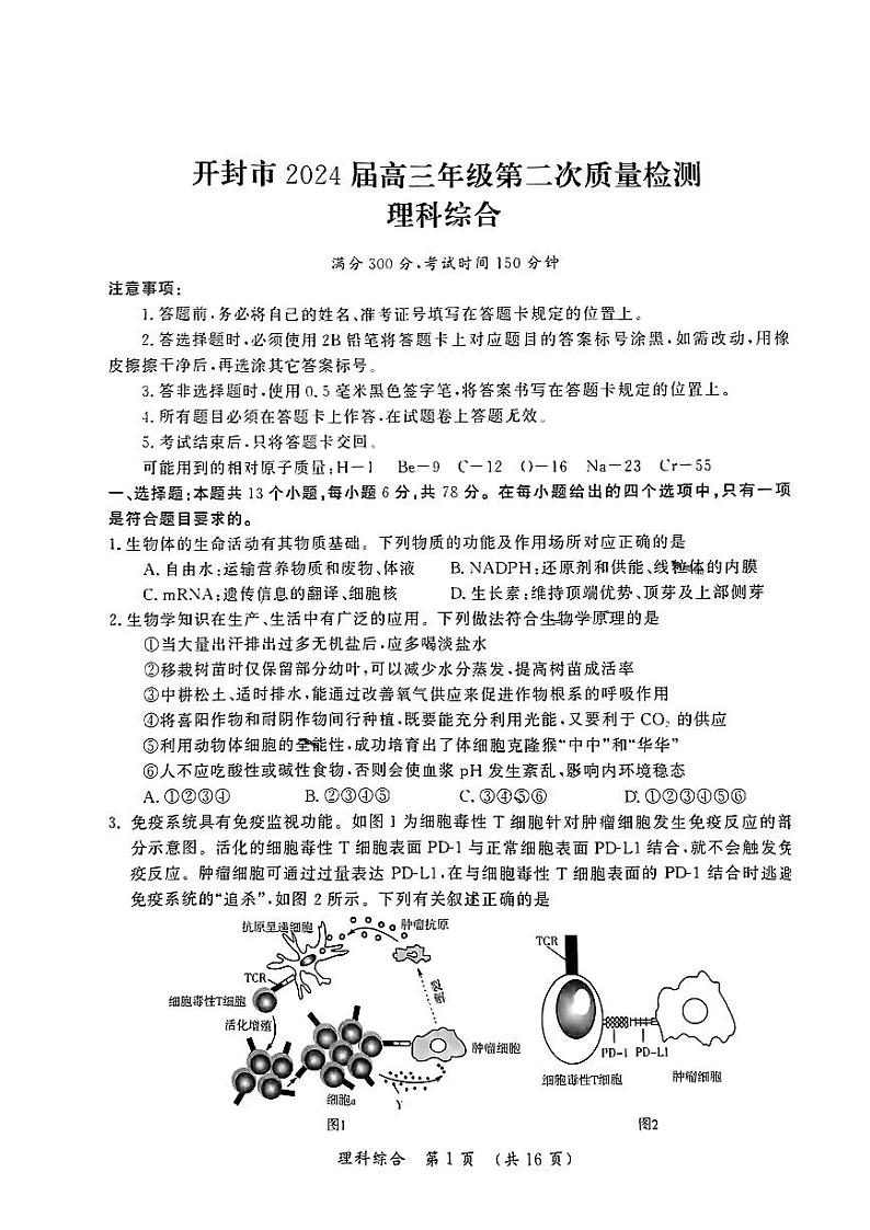 河南省开封市2024届高三年级下学期3月第二次质量检测理综试题及答案01