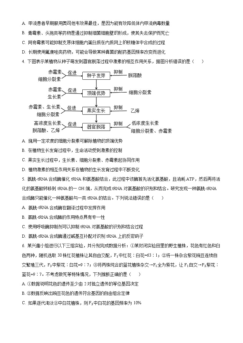 2024届内蒙古赤峰市高三下学期一模模拟考试理科综合试题-高中生物（原卷版+解析版）02