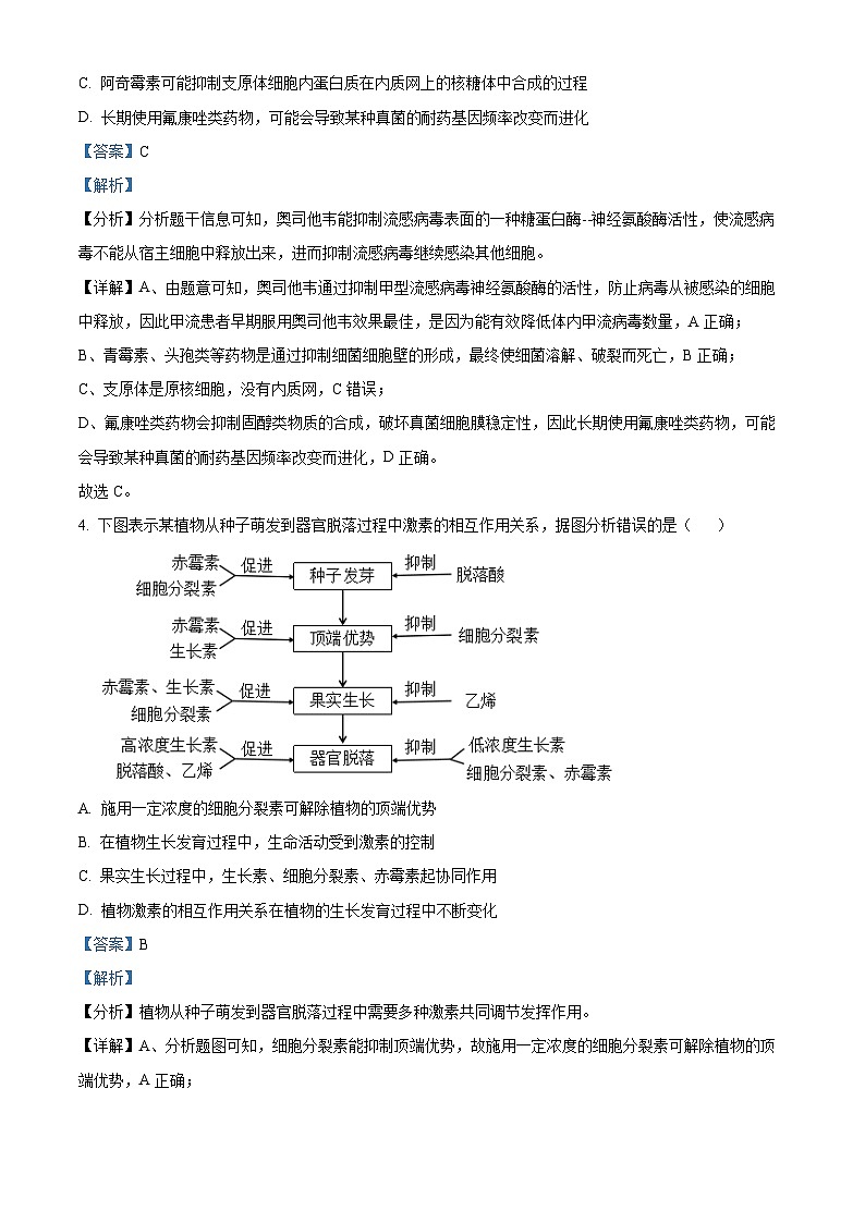 2024届内蒙古赤峰市高三下学期一模模拟考试理科综合试题-高中生物（原卷版+解析版）03