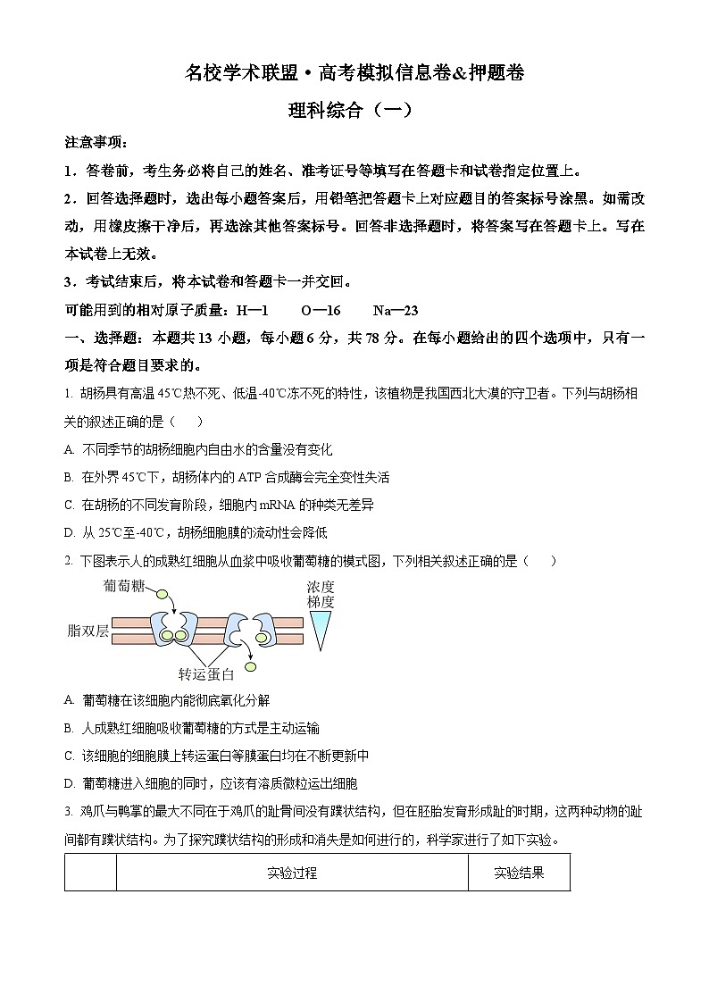 2024届名校学术联盟高三下学期模拟卷理综试卷-高中生物（原卷版+解析版）01