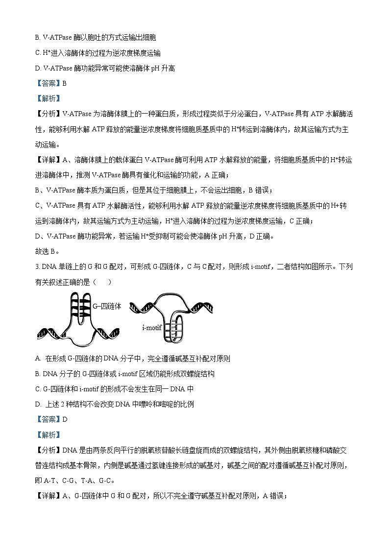 2024届青海省海东市高三下学期二模理科综合试卷-高中生物（解析版）第2页