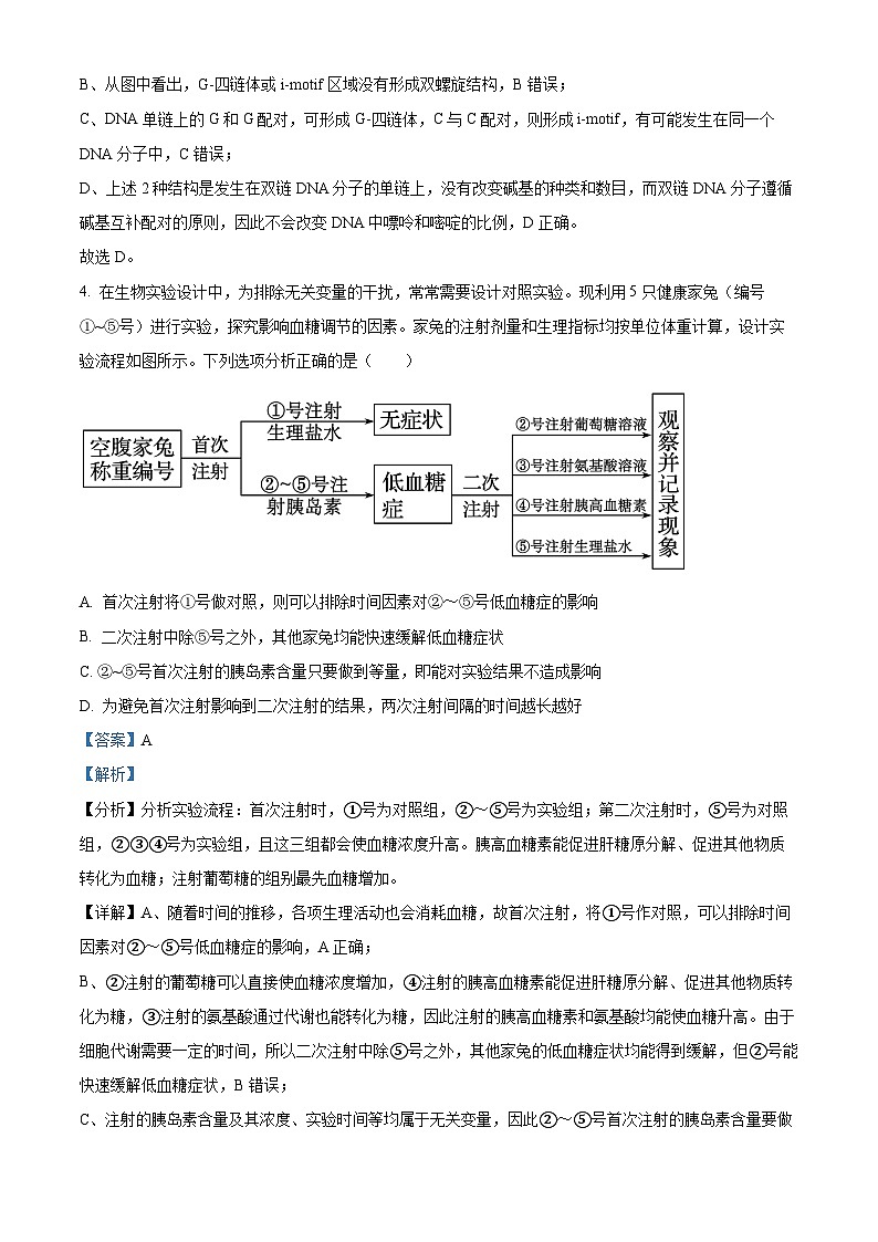 2024届青海省海东市高三下学期二模理科综合试卷-高中生物（解析版）第3页
