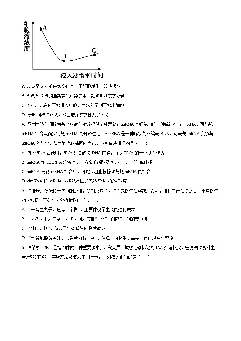 2024届陕西省咸阳市高三下学期模拟检测（二）理综生物试题（原卷版）第2页
