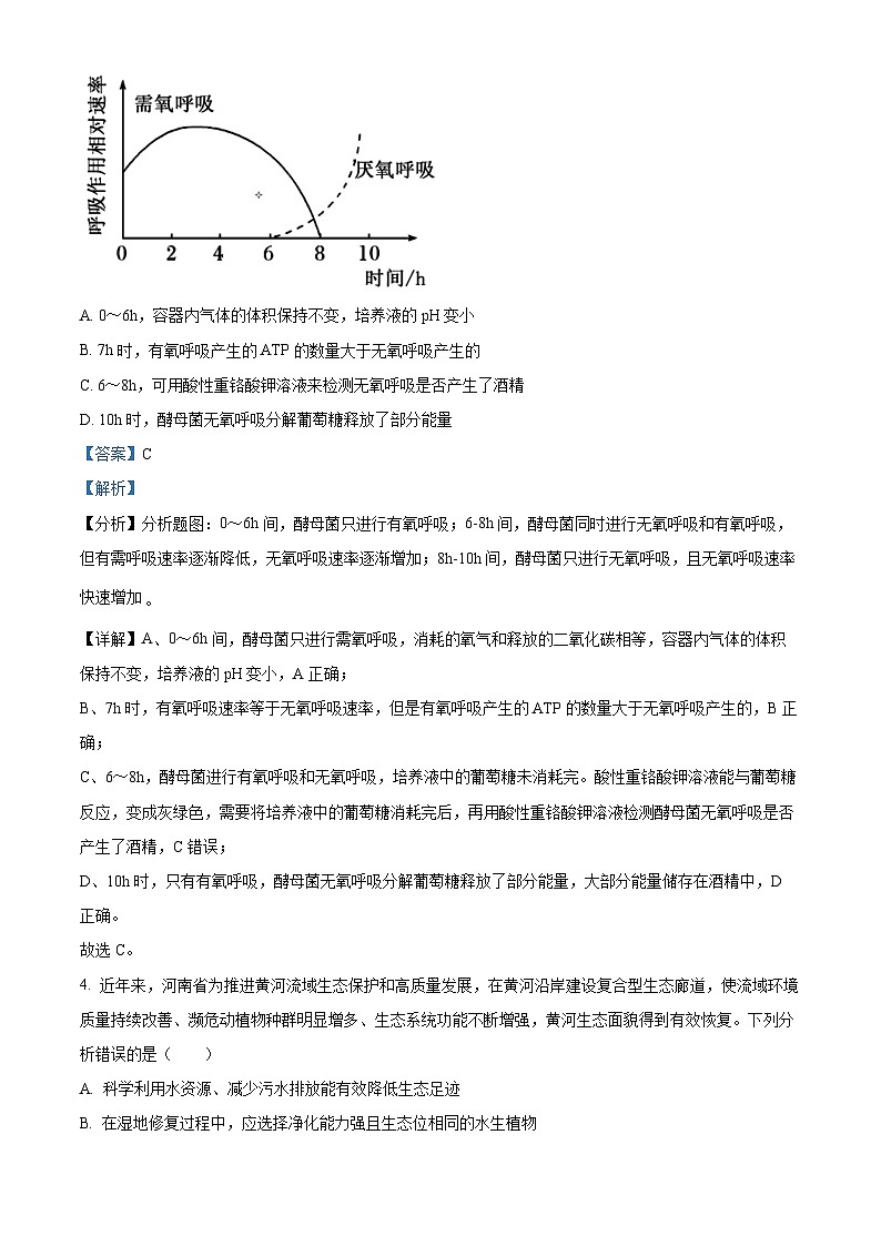 2024届河南省新乡市高三下学期第二次模拟考试理综试题-高中生物（原卷版+解析版）03
