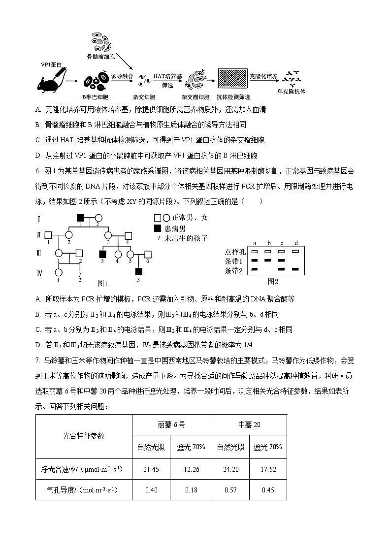 2024届山西省朔州市部分学校高三下学期二模考试理科综合试题-高中生物（原卷版）第3页