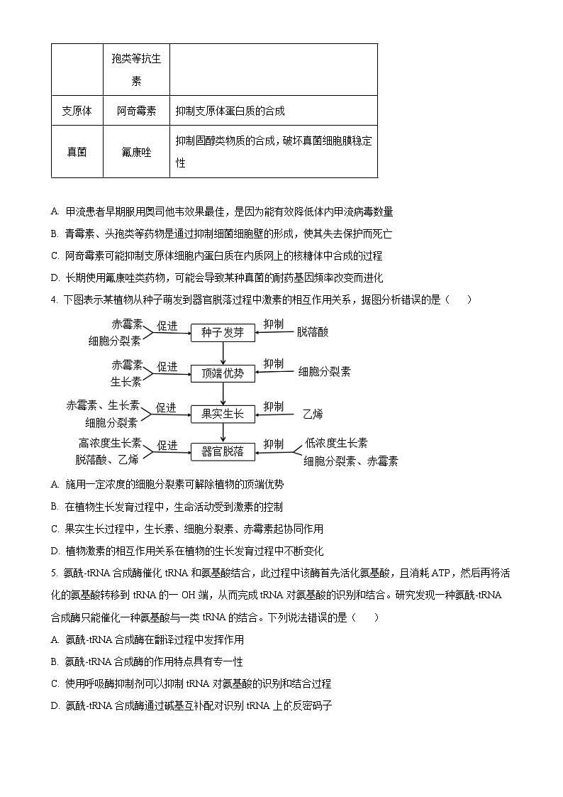 2024届内蒙古自治区赤峰市高三二模理综试题-高中生物（原卷版+解析版）02