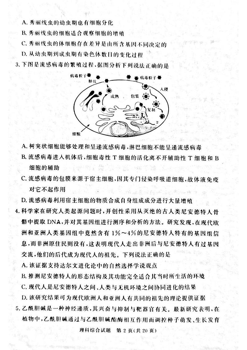 湘豫名校联考2024届春季学期高三第二次模拟考试理综02